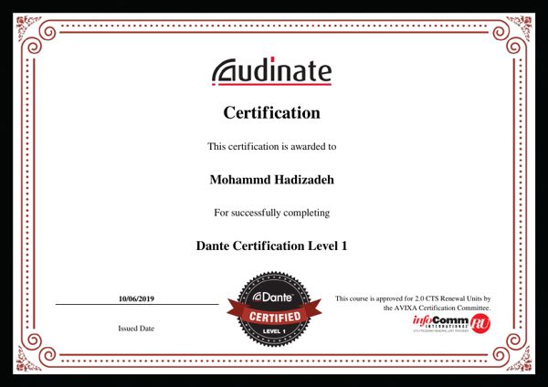 Dante Level 1 certificate